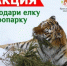 Фото: официальный сайт правительства Ярославской области - НИА-Волга