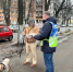 За последний квартал административно-технический надзор оштрафовал граждан более чем на 36 миллионов - Комсомольская Правда
