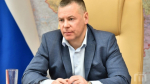 В конце марта в Ярославле откроют центр отлова и стерилизации животных
