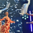 Губернатор вручил жительницам Ярославской области государственные награды - Культура Ярославии