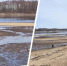 Раньше Рыбинское водохранилище было с нормальным уровнем воды | Источник: Анастасия Вязигина/ 76.RU - 76.Ru