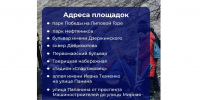 В ближайшие выходные ярославцев приглашают на общегородской субботник - Ярославский регион