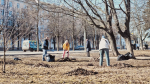 В Ярославле прошёл общегородской субботник