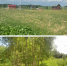 Дорогу к участкам многодетных семей сделают по решению ярославского суда - YarNews.Ru