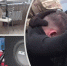 В Ярославской области нашли сим-базу телефонных мошенников - YarNews.Ru