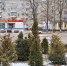 В ярославском парке Победы создадут живую изгородь - YarCube.Ru