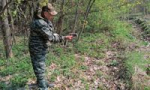 Диких животных в Ярославской области начали прививать от бешенства
