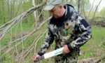Диких животных в Ярославской области начали прививать от бешенства