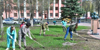 Ярославцев пригласили присоединиться к Всероссийскому субботнику - Городские новости