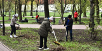 Ярославль присоединился ко Всероссийскому субботнику - Городской телеканал
