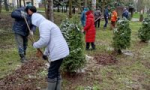 Жители Ярославской области приняли участие во Всероссийском субботнике