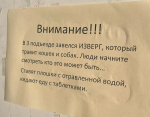 Жители рыбинской многоэтажки жалуются на отравителя домашних животных