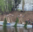 Фото: официальный сайт правительства Ярославской области - НИА-Волга