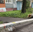В Ярославле фонарный столб рухнул на ребёнка_299547 - YarCube.Ru