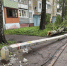 Во время грозы в Ярославле на мальчика упал фонарный столб | Источник: прокуратура Ярославской области / Telegram - 76.Ru