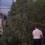 Работа электротранспорта в Ярославле полностью восстановлена - Городские новости