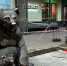 В центре Ярославля можно будет управлять бегущим и летящим мишкой - YarCube.Ru