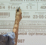 С помощью ЕГЭ хотят проверять освоение учениками школьной программы | Источник: Александр Ощепков / NGS.RU - 76.Ru
