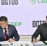 Сбербанк и ГК «Остов» будут развивать цифровые и финансовые сервисы в сфере недвижимости на Дальнем Востоке - Ярославский регион