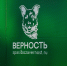 Открылся областной центр отлова и стерилизации «Джина» - Ресурсный центр поддержки НКО и гражданских инициатив