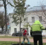 В Ярославле продолжают высаживать новые деревья - Комсомольская Правда