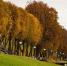 В Ярославской области в выходные обещают малооблачную погоду без дождей | Источник: Кирилл Поверинов / 76.RU - 76.Ru
