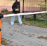 В Ярославской области компенсируют затраты на установку шлагбаумов во дворах у зон платных парковок - Ярославский регион