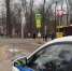 В Ярославской области с начала года зарегистрировали 225 ДТП с участием пешеходов - Ярославский регион