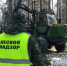 ​Арендатор лесного участка в Ярославской области возместил более 7 млн рублей за уничтожение молодых деревьев - Ярославский регион