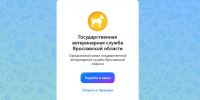 ​Канал ветеринарной службы Ярославской области создан в мессенджере «МАХ» - Ярославский регион