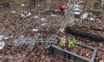 Михаил Евраев прокомментировал разгром на Донском кладбище в Ярославле