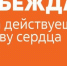 В Ярославле работает активное волонтёрское сообщество - Городской телеканал