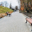 В Переславле завершается первый этап работ по созданию пешеходного центра - ГТРК