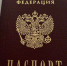 Жителя Ярославской области лишили приобретенного российского гражданства - ГТРК