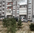 В Ярославле назвали лучший двор - Городские новости