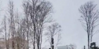 Новогодняя ёлка прошла в Вознесенских казармах Ярославля - Городской телеканал