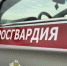 Ярославские росгвардейцы за прошедшую неделю совершили более 250 выездов по сигналам «тревога» - Росгвардия