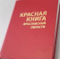 Темную улитку и малого лебедя внесут в обновленную Красную книгу Ярославской области - Ярославский регион
