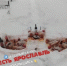 Алкоголь и сырое мясо: полиция проверяет информацию о ритуале на Игнатовском кладбище Ярославля - Комсомольская Правда