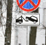В Ярославле на Крещение запретят парковки у купелей_309750 - YarCube.Ru