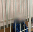 Вышли покурить: в селе под Ярославлем мужчина зарезал товарища - YarCube.Ru