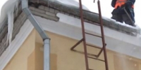 Полицейским в Ярославле пришлось открыть огонь - Городской телеканал