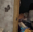 В Рыбинске загорелась заполненная хламом квартира_310053 - YarCube.Ru