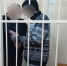 В Ярославле арестован хулиган, искромсавший в магазине женщину ножницами - Комсомольская Правда