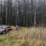 Житель Калужской области ответит за произошедшее около 9 лет назад убийство в Ярославле - Ярославский регион