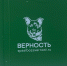 Ярославская благотворительная организация «Верность» не оставляет в беде: как команда спасает сотни животных - YarCube.Ru