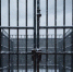 Под Ярославлем двое жителей незаконно подключались к электросетям - Городской телеканал