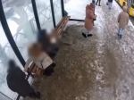 В Ярославле установили личность девятилетней девочки, разбившей стекло на остановке