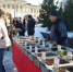 Весенние ярмарки товаров местных производителей в выходные пройдут в двух округах региона - Культура Ярославии