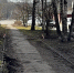 Начался ремонт тротуара в Мукомольном переулке Ярославля - Городские новости
